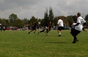 OTFL Gallery Image